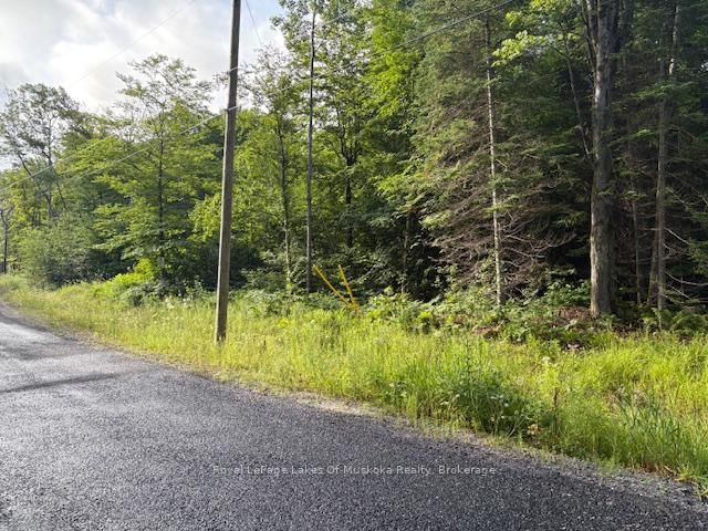 48 Summer Leigh Trail