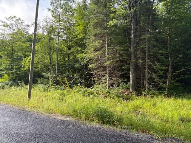 48 Summer Leigh Trail