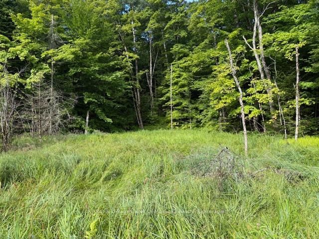 home for sale on 1788 Old Muskoka Road