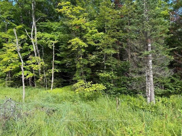 1788 Old Muskoka Road