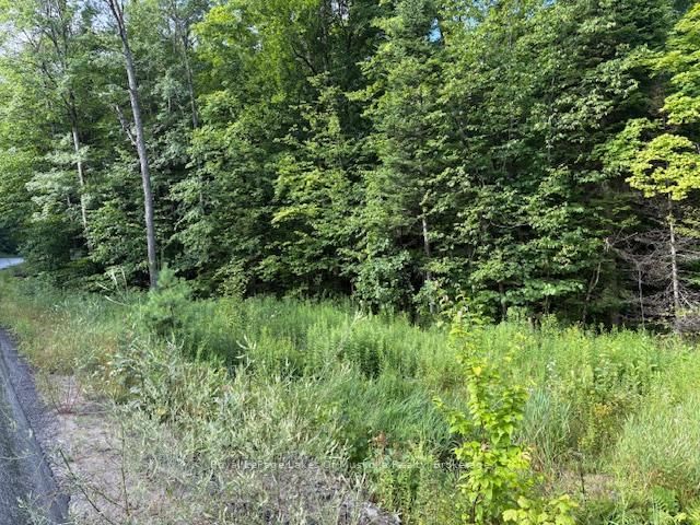 1788 Old Muskoka Road