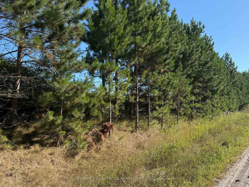0 Deloro Rd, Madoc, K0K 2K0 | Image 2