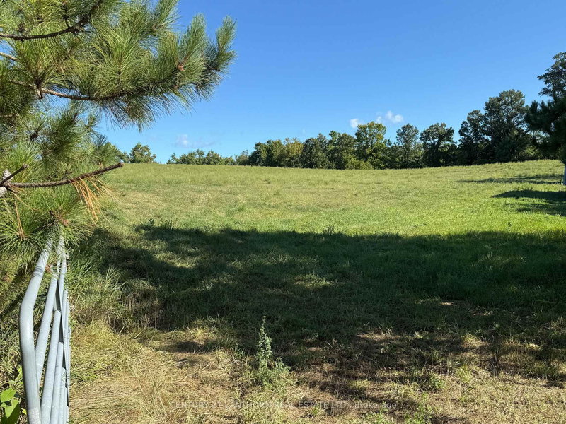 0 Deloro Rd, Madoc, K0K 2K0 | Image 3