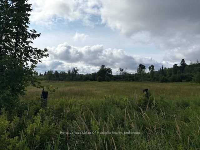 home for sale on 0 Old Muskoka to the West Side of #1105 Road