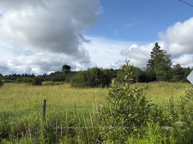 home for sale on 0 Old Muskoka to the East Side of #1105 Road