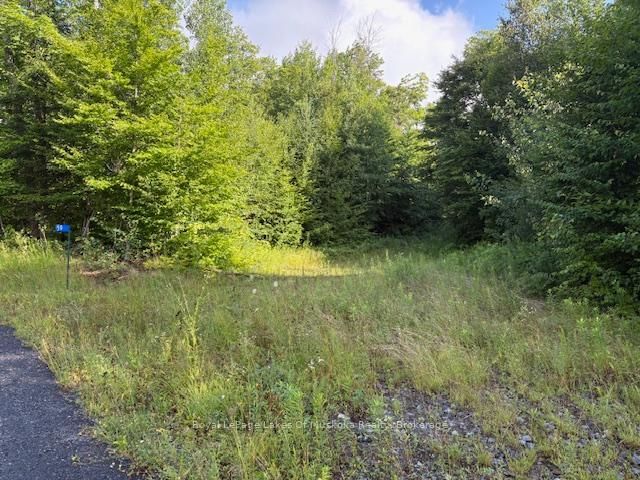 home for sale on 59 Summer Leigh Trail