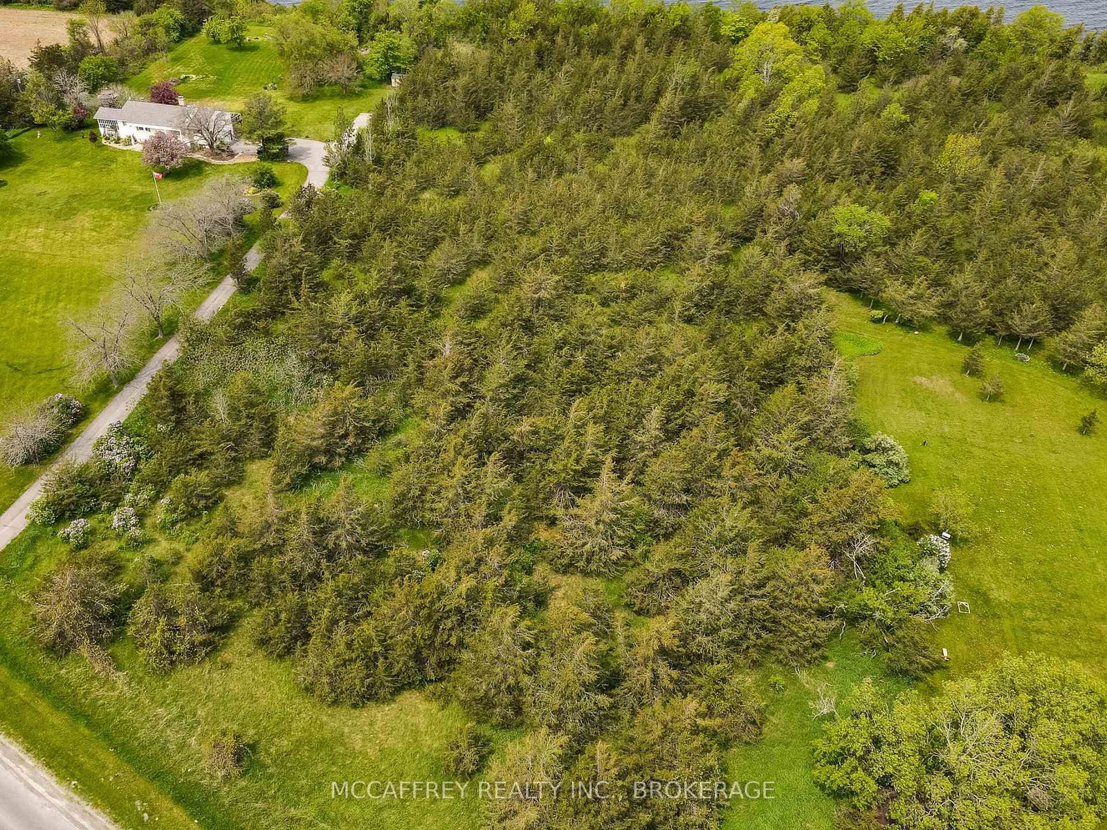 PT LT63 COUNTY RD 7 • Prince Edward County, ON photo 3