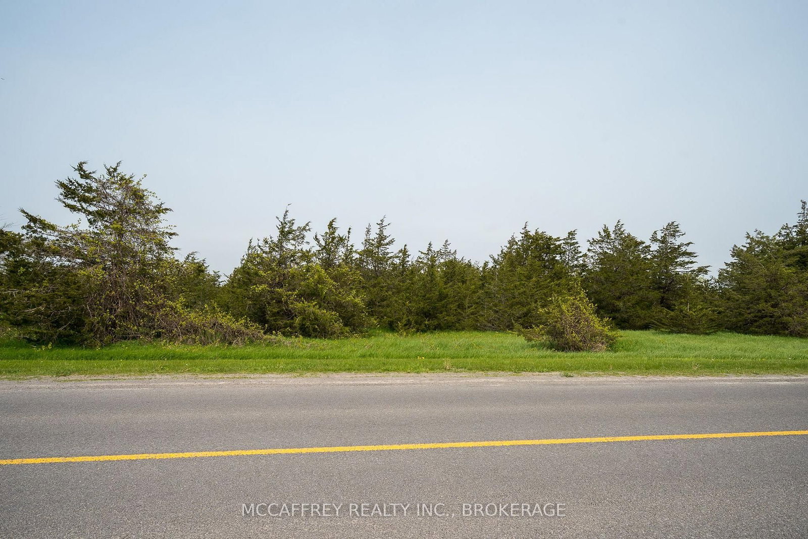 PT LT63 COUNTY RD 7 • Prince Edward County, ON photo 5