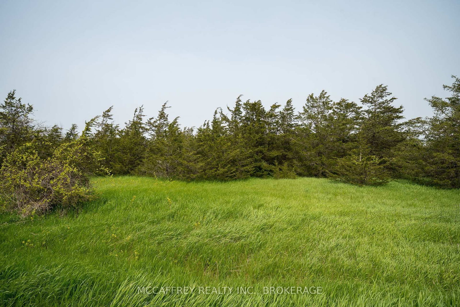 PT LT63 COUNTY RD 7 • Prince Edward County, ON photo 6
