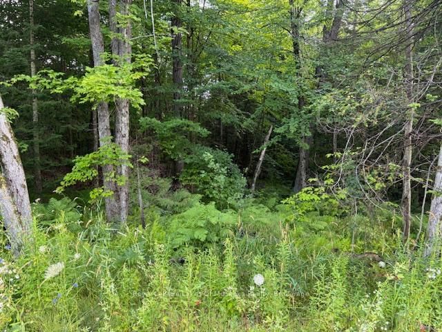 47 Summer Leigh Trail