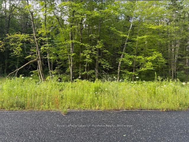 47 Summer Leigh Trail