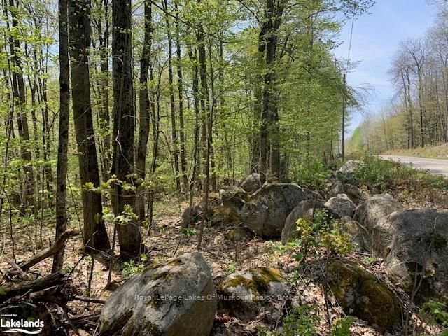 2376 SOUTH HORN LAKE Road