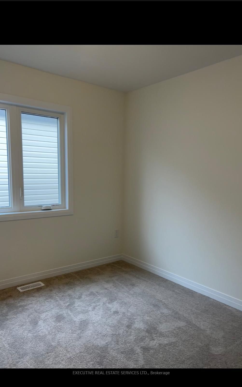 294 Newman Drive - Photo 10