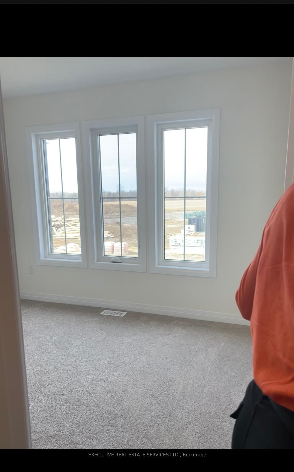 294 Newman Drive - Photo 6