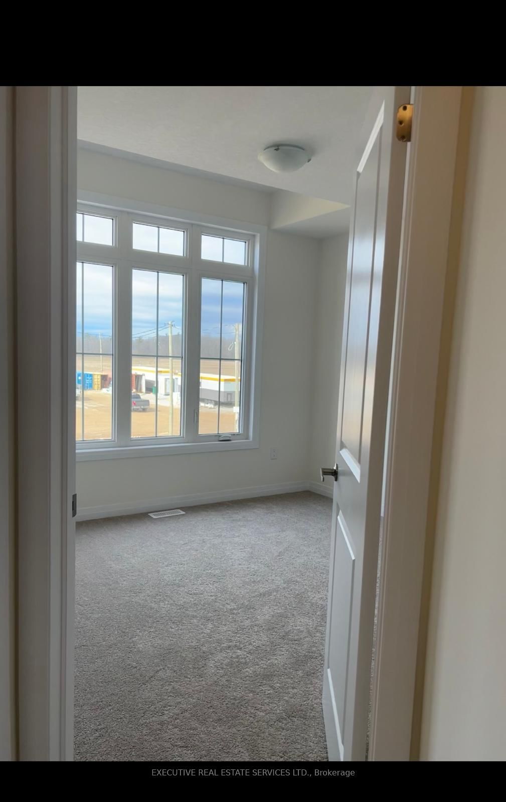 294 Newman Drive - Photo 7