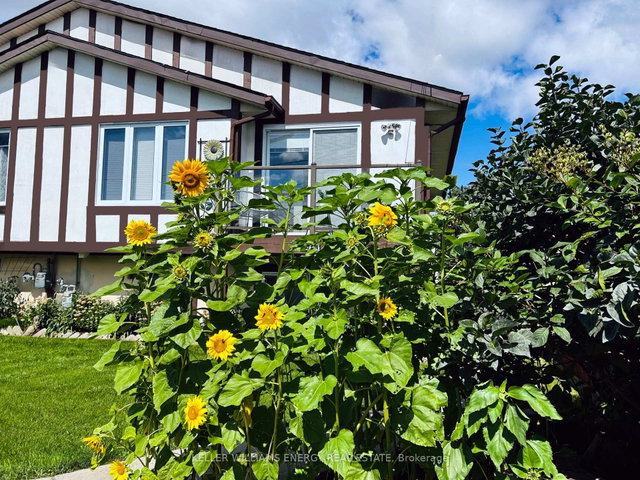 106A Wellington Main Street