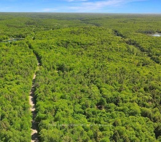 0 Bobcaygeon Rd, Minden Hills, K0M 2K0 | Image 3
