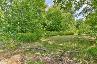 316 High Shore Rd | Limoges | Image