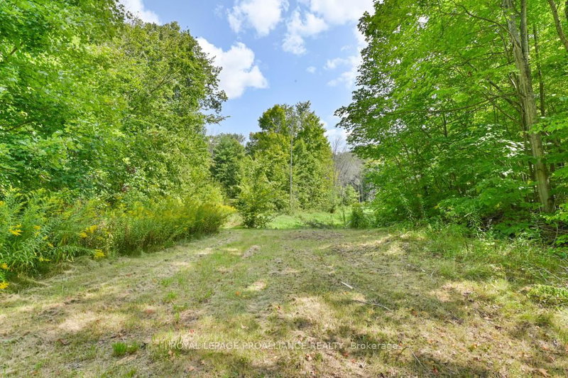 316 High Shore Rd, Limoges, K0K 2M0 | Image 3