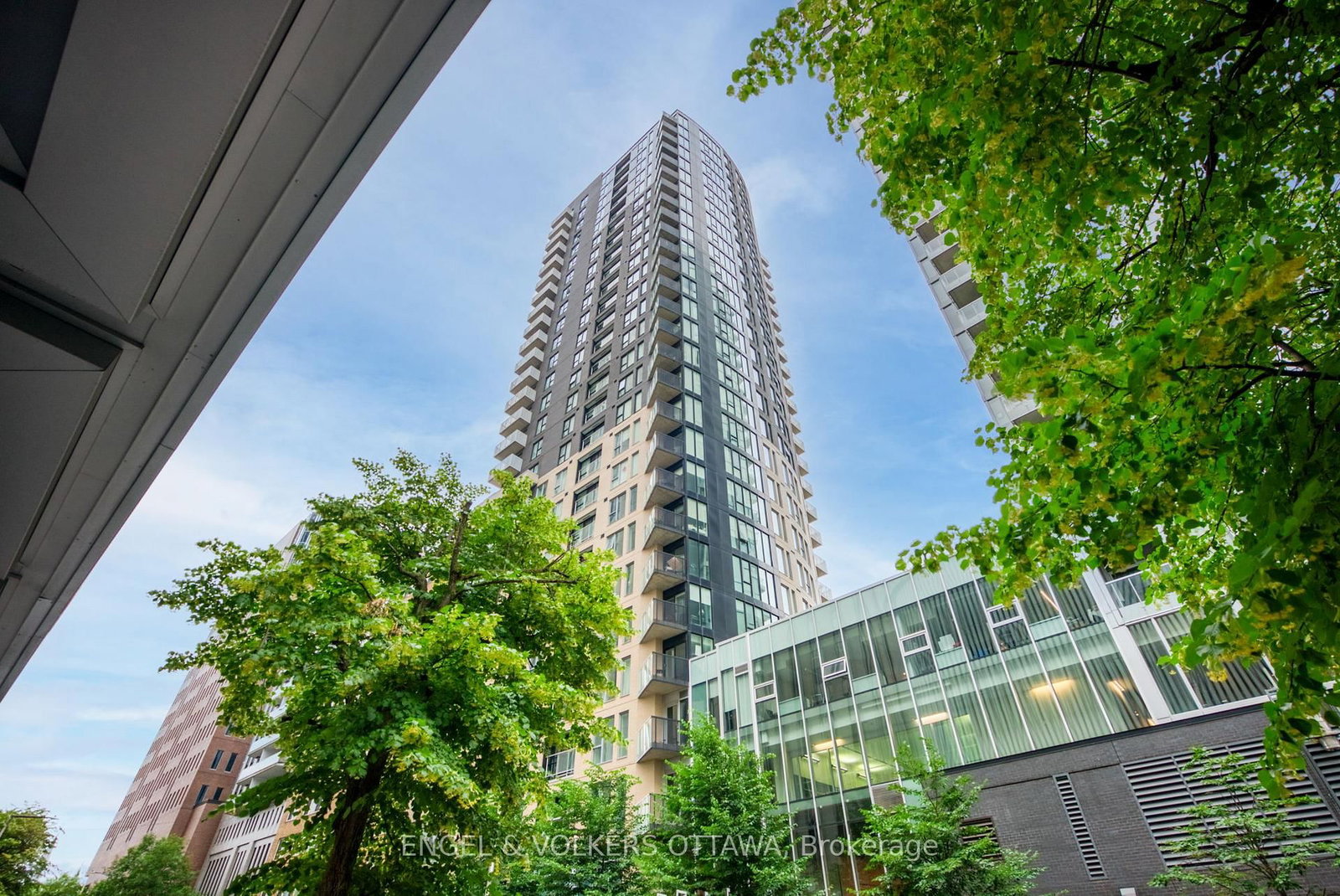 40 Nepean Street, Unit 905
