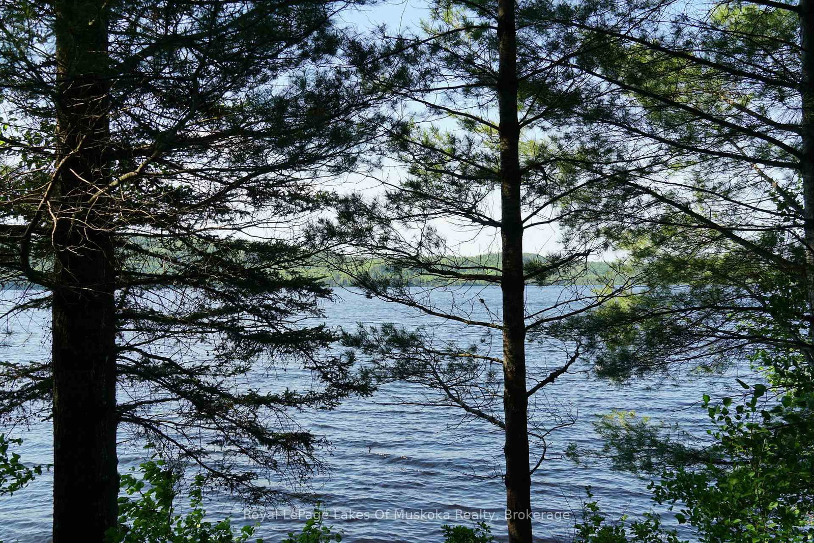 1173 Highway 60 • South Algonquin, ON photo 10