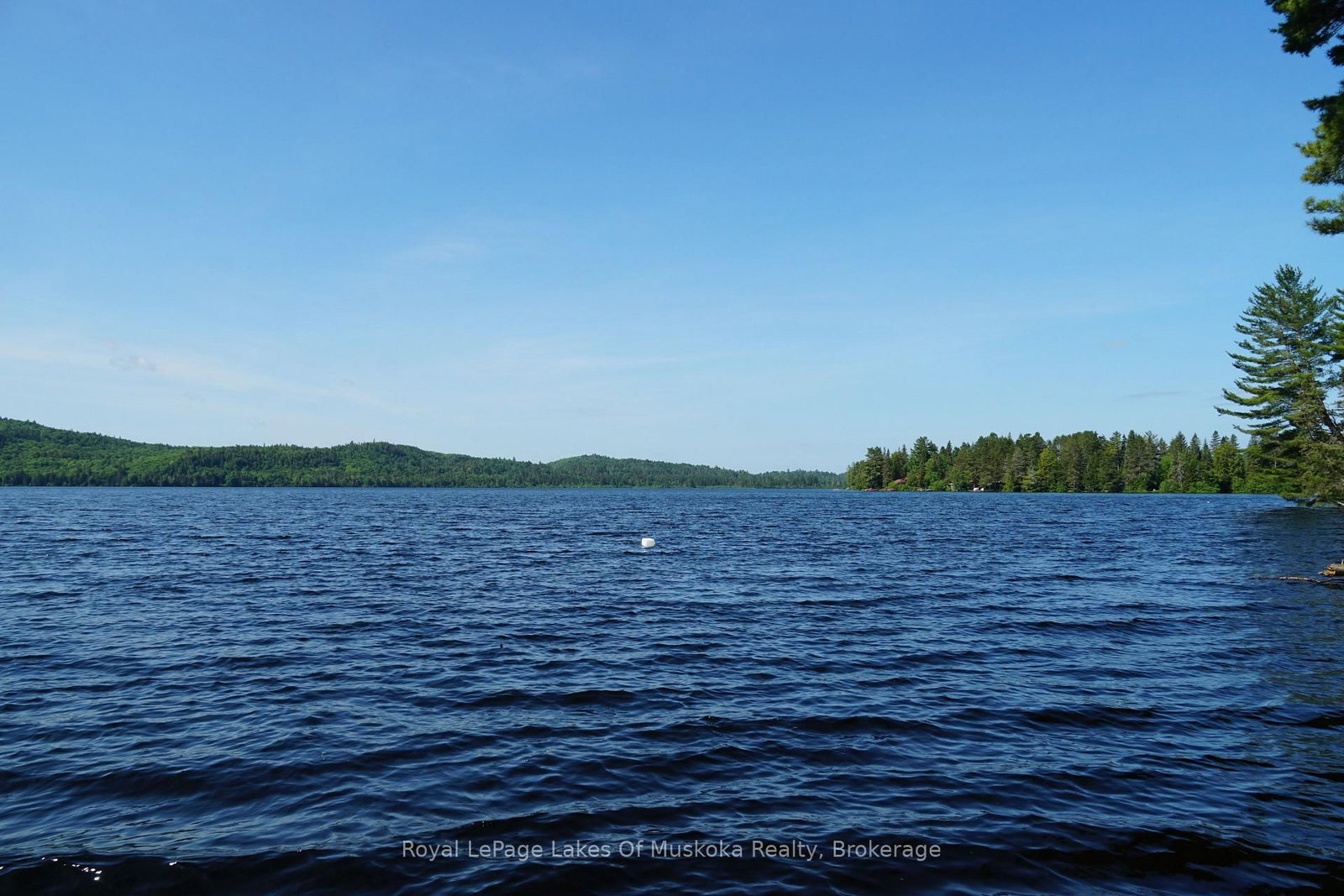 1173 Highway 60 • South Algonquin, ON photo 2