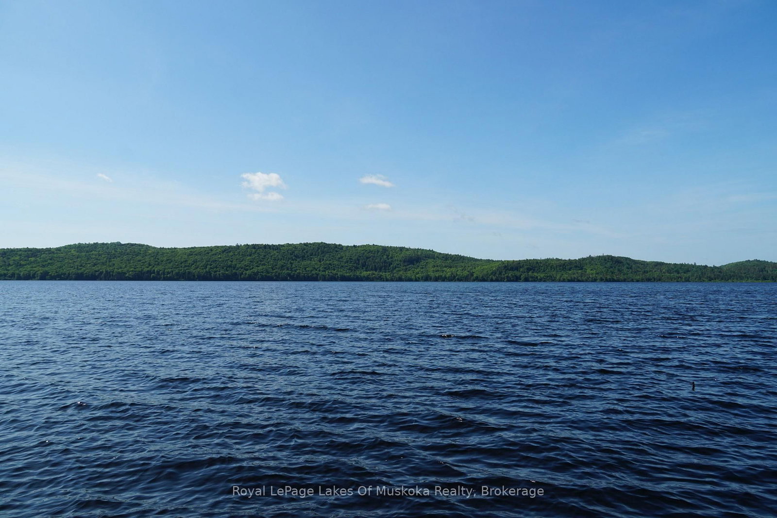 1173 Highway 60 • South Algonquin, ON photo 4