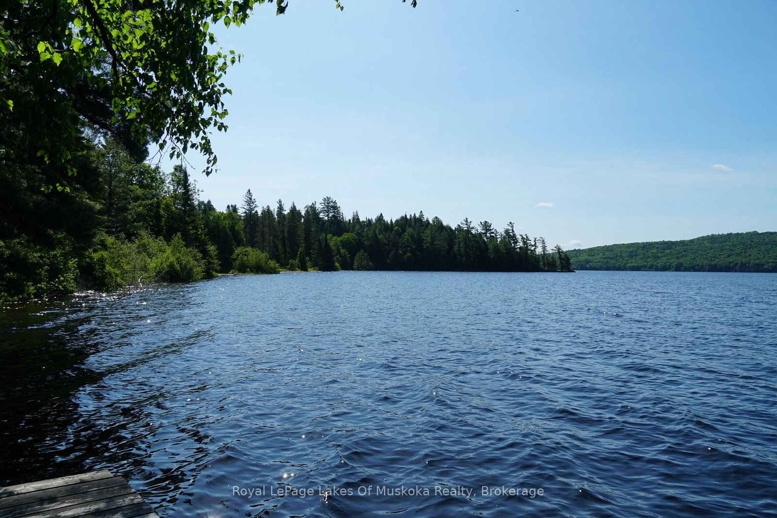 1173 Highway 60 • South Algonquin, ON photo 5