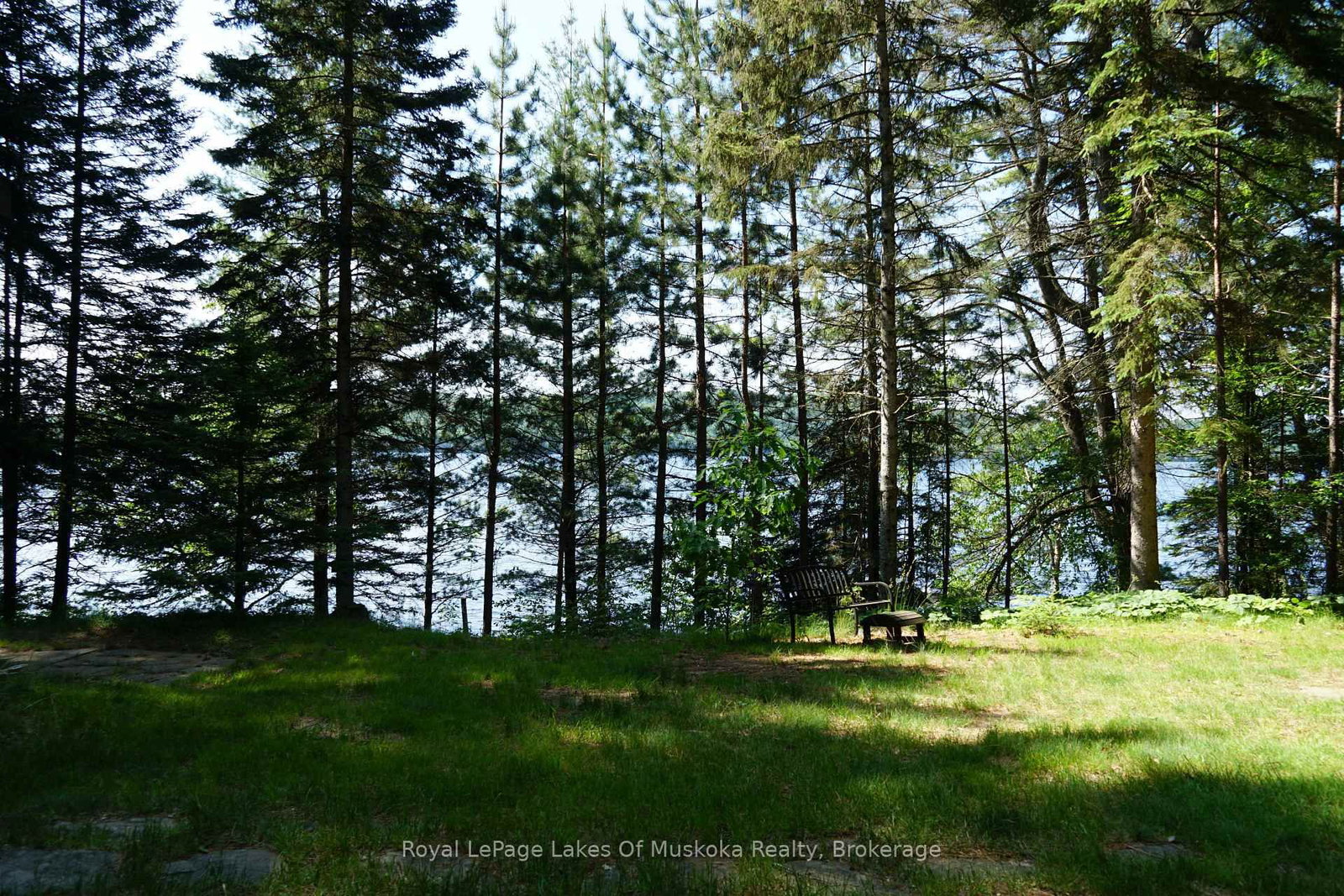 1173 Highway 60 • South Algonquin, ON photo 9