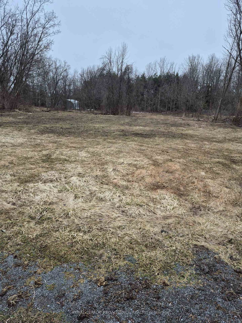 58 Walt St, Brighton, K0K 1H0 | Image 3