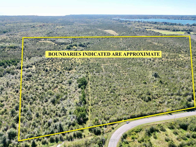3526 County Road 13 Road