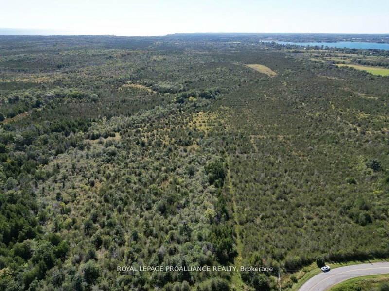 3526 County Road 13 Rd photo 5
