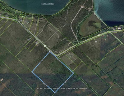 3526 County Road 13 Road • Prince Edward County, ON photo 6