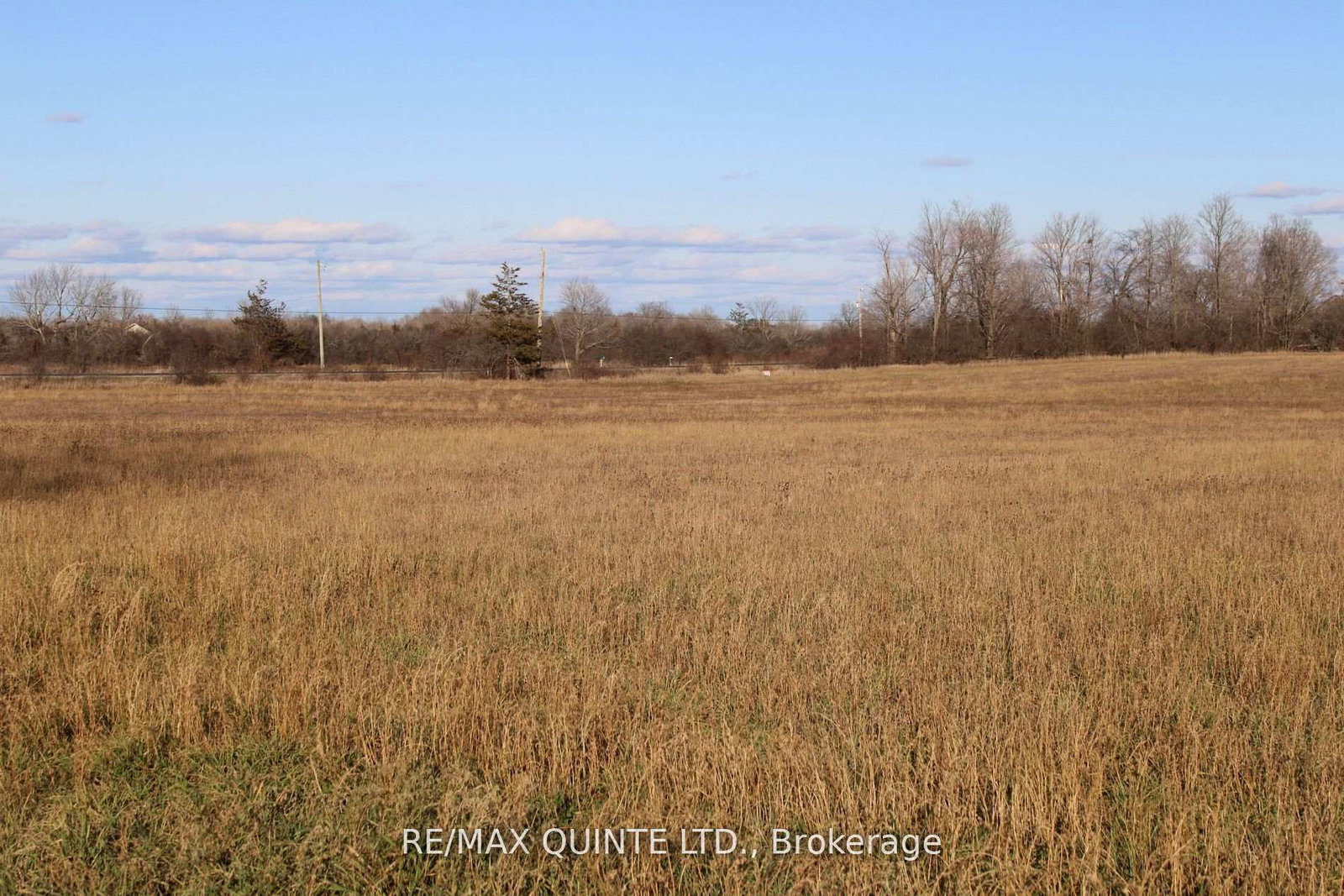 3511 County Road 1 • Prince Edward County, ON photo 26