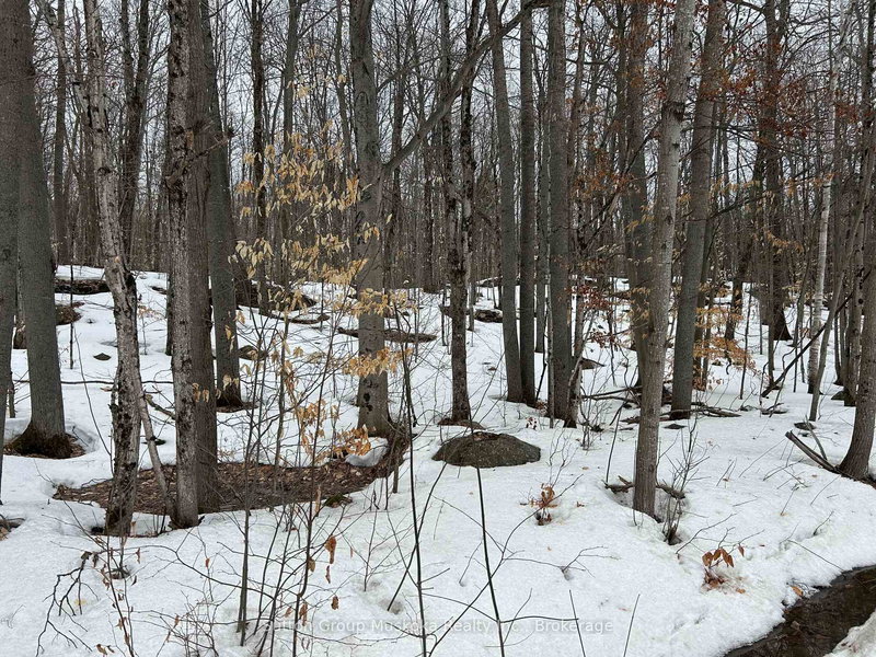 home for sale on 0 Tally Ho Winter Park Road