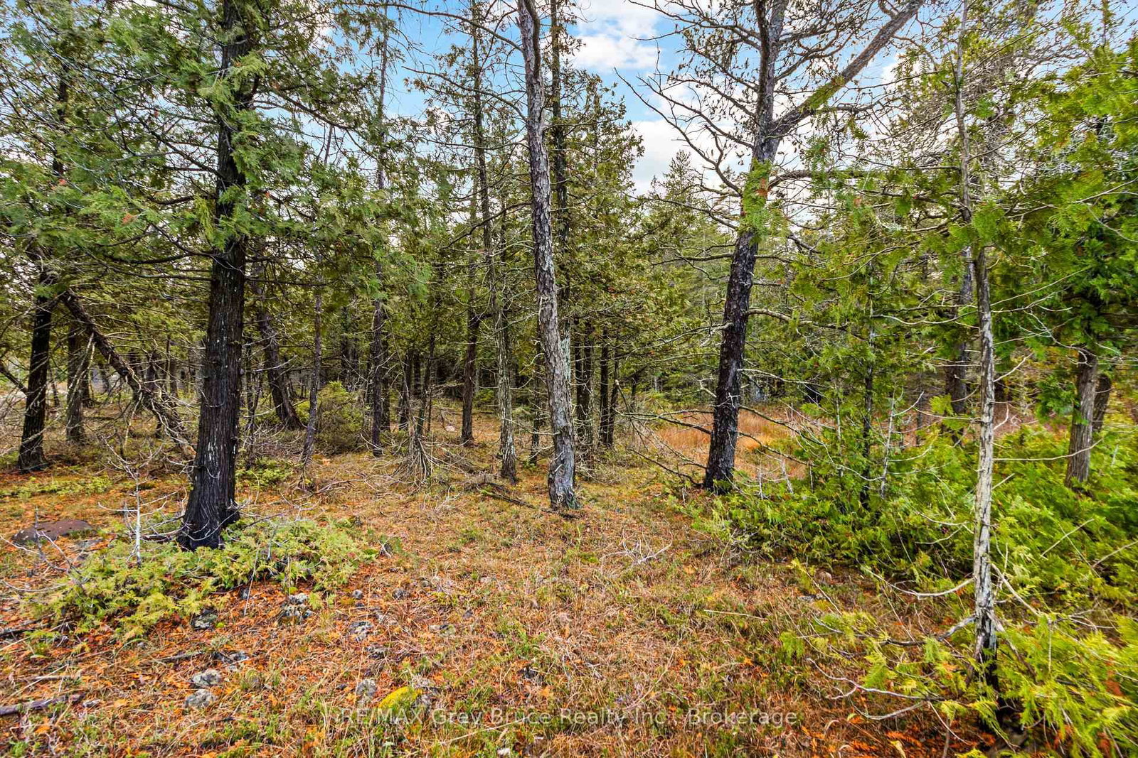 660 Dorcas Bay Road • Northern Bruce Peninsula, ON photo 15