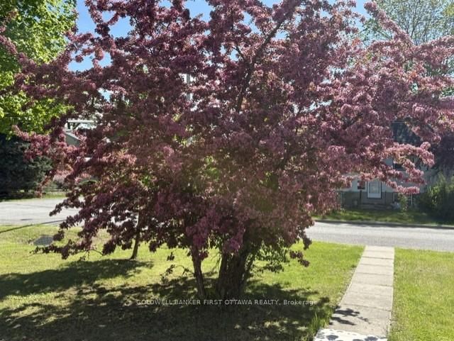 185 Compton Avenue • Ottawa, ON photo 8