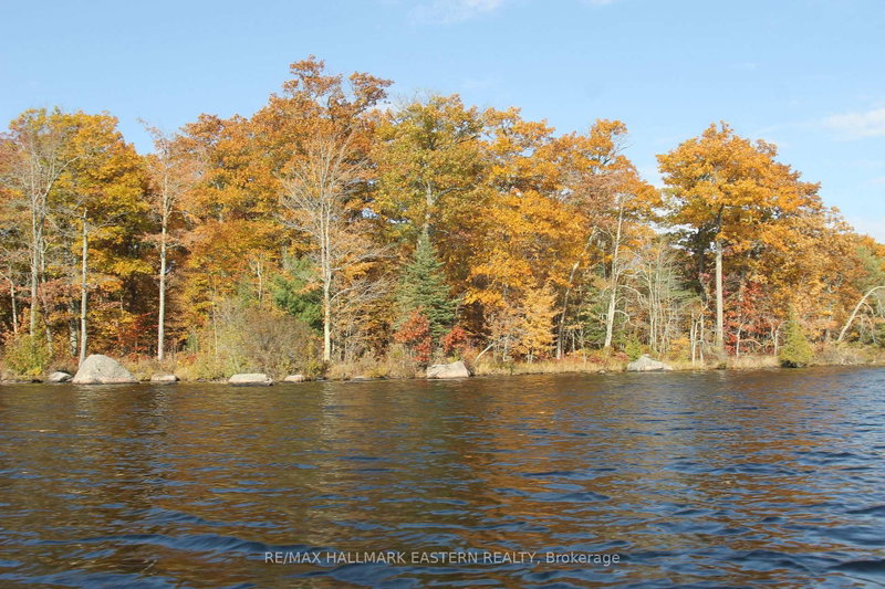 Lot 2 - C280 Lower Buckhorn Lake