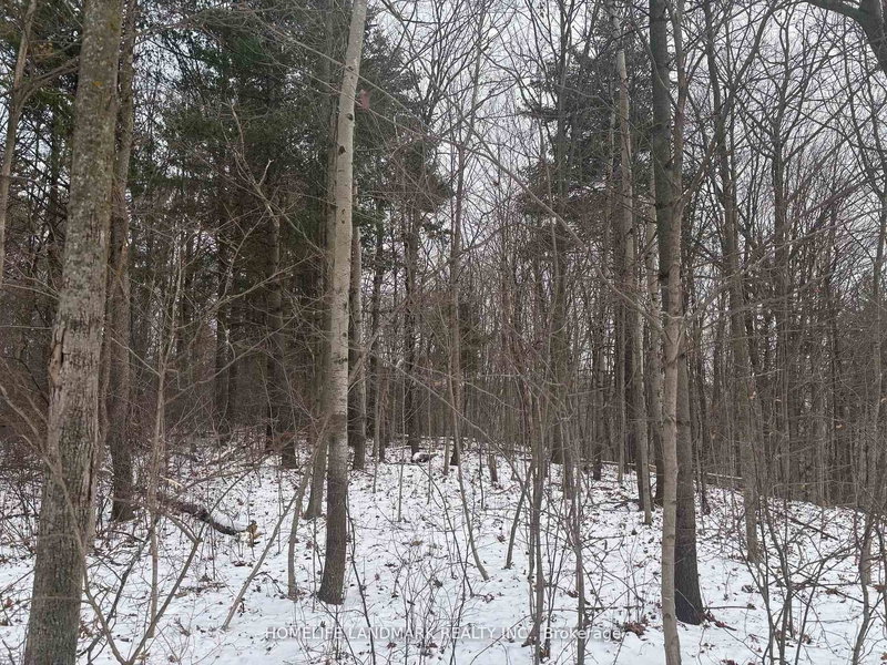 home for sale on LT 45 CON 7 EBR LINDSAY null