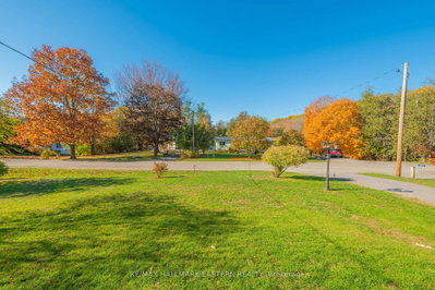 2839 Peter Street — more photos