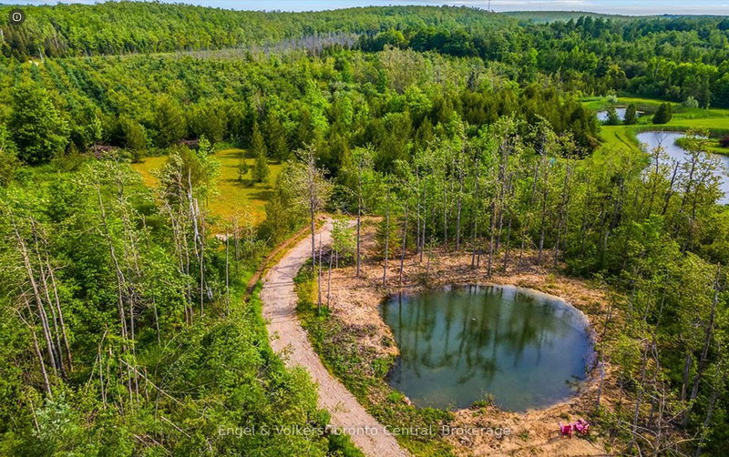 429571 8th B Concession, Grey Highlands, N0C 1M0 | Image 2