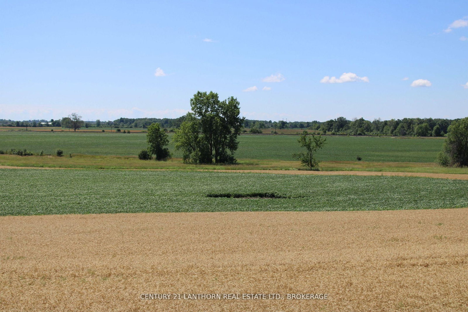 LT15-16 COUNTY ROAD 1 W • Greater Napanee, ON photo 4