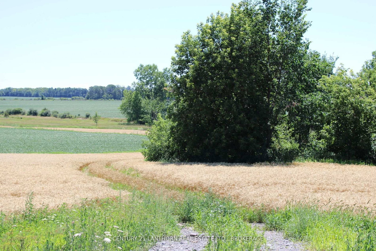LT15-16 COUNTY ROAD 1 W • Greater Napanee, ON photo 8