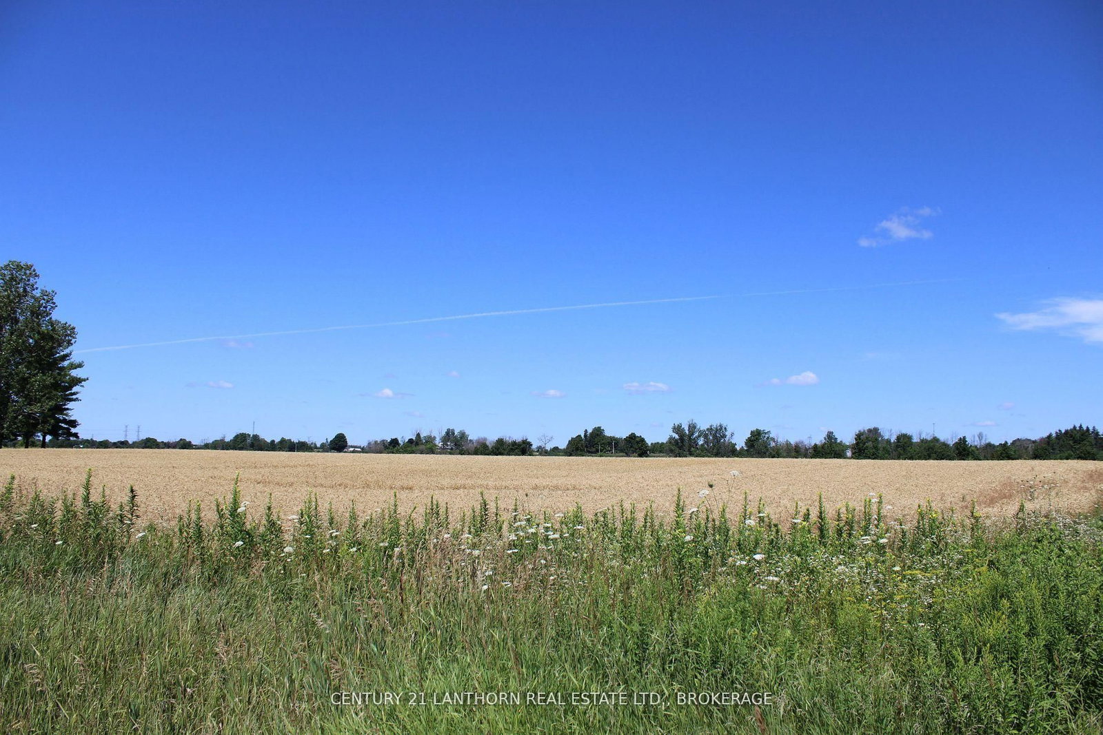 PT LT16 JIM KIMMETT Boulevard • Greater Napanee, ON photo 3