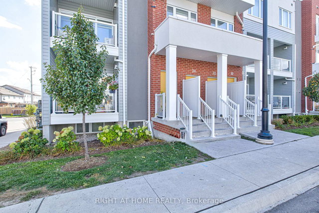 34 Vitality Drive