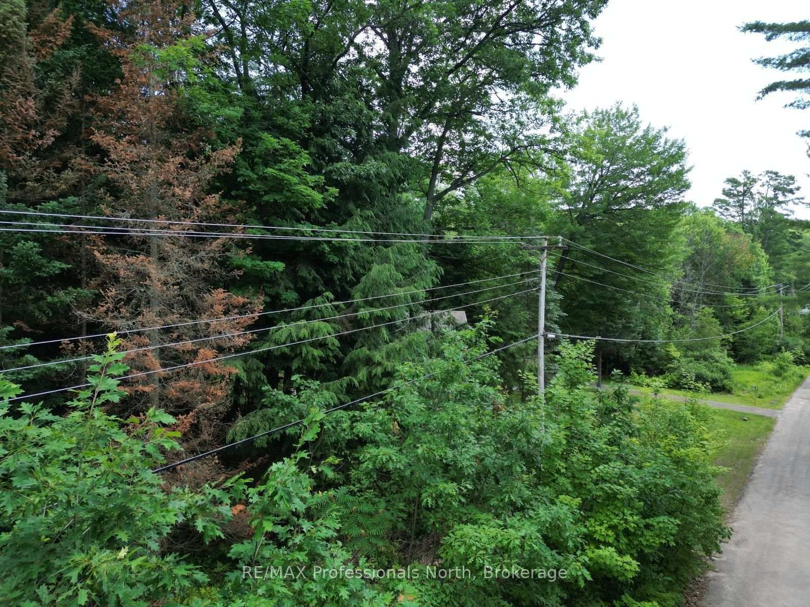 0 Halls Lake Road • Algonquin Highlands, ON photo 10