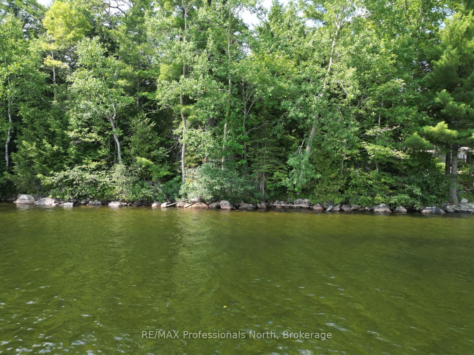 0 Halls Lake Road • Algonquin Highlands, ON photo 12