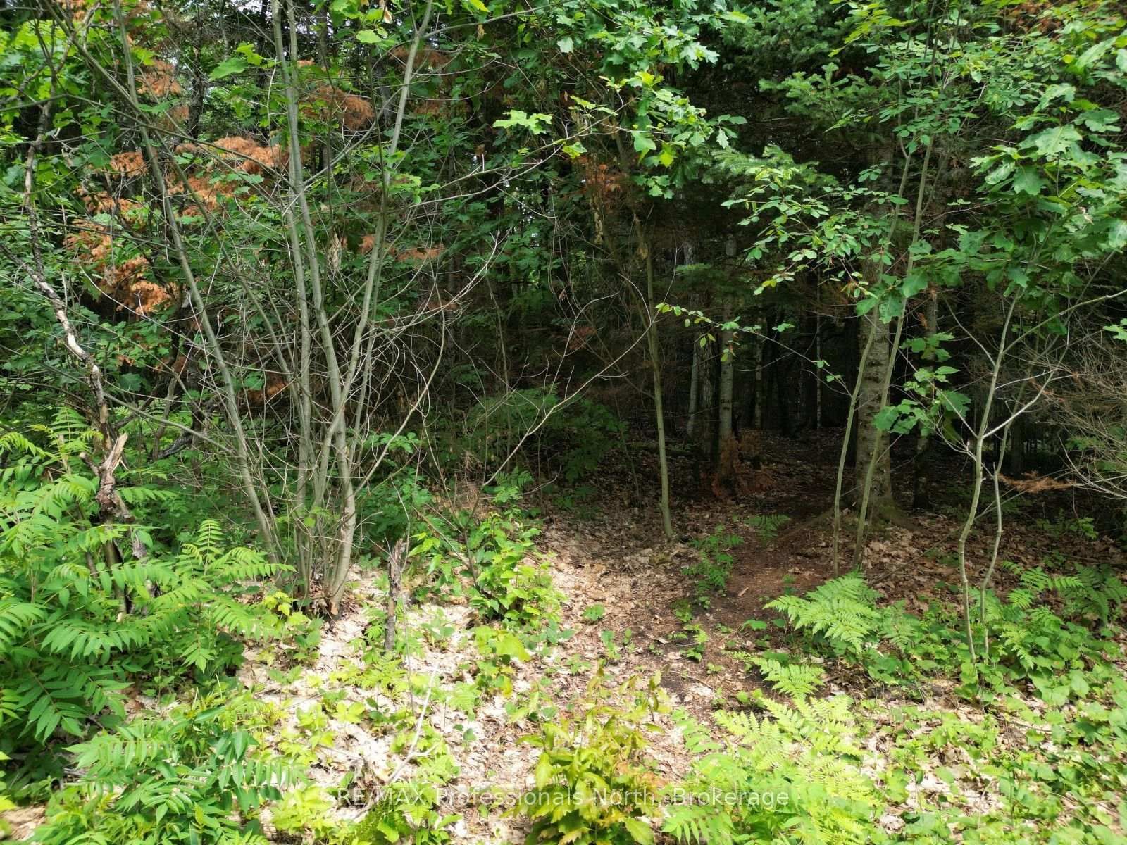 0 Halls Lake Road • Algonquin Highlands, ON photo 16