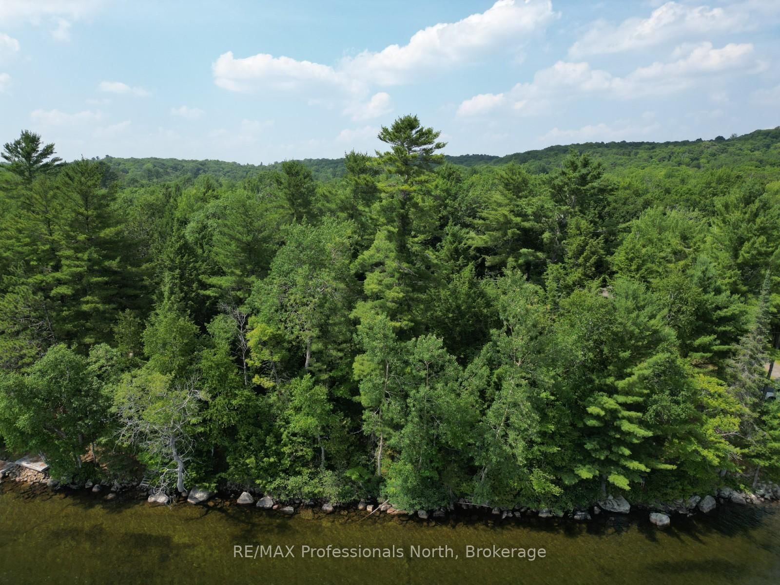 0 Halls Lake Road • Algonquin Highlands, ON photo 19