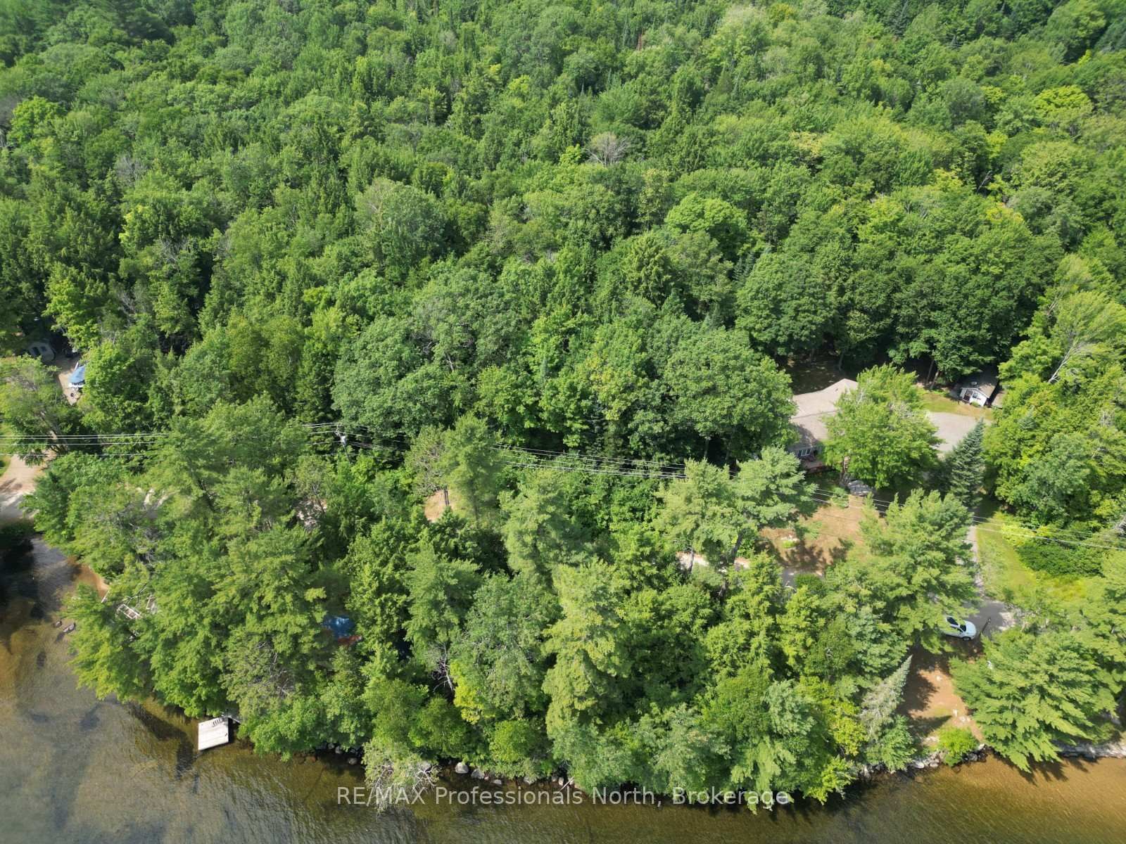 0 Halls Lake Road • Algonquin Highlands, ON photo 20